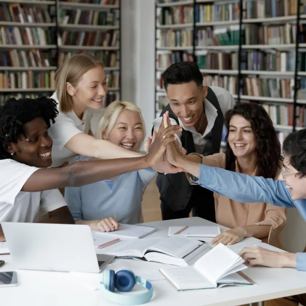 chestionar contrafacere