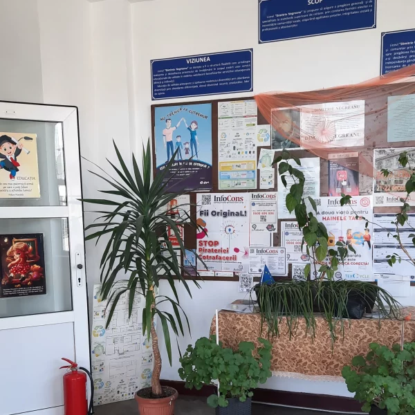 liceul dimitrie negreanu botosani 2