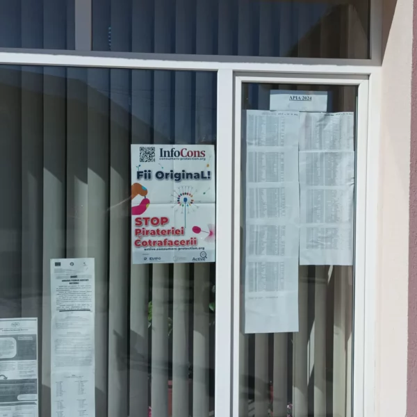 primaria sanmihaiu almasului, salaj