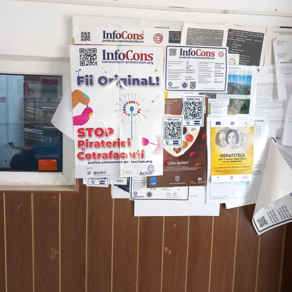 primăria bechet, dolj 2