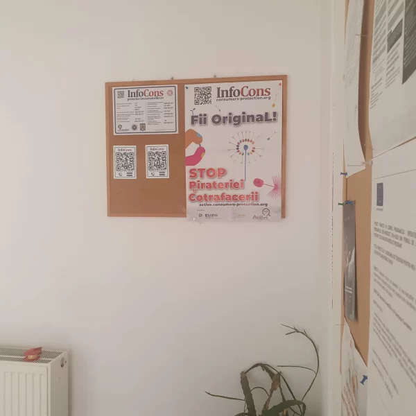 primăria comuna toplița, jud. hunedoara