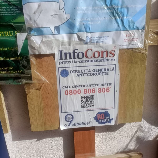 primăria comunei bârsănești, bacău 2