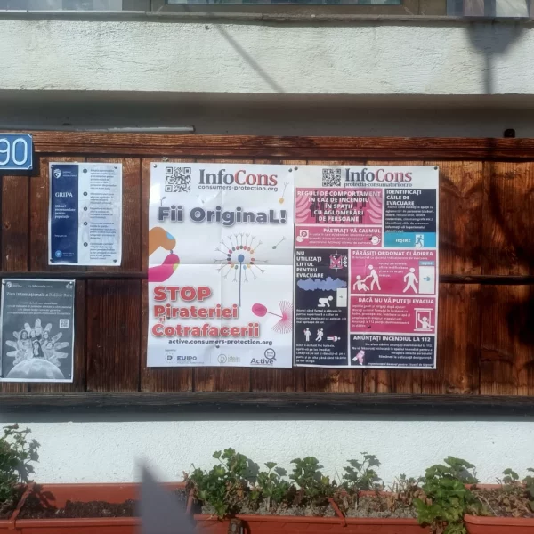 primăria comunei bârsănești, bacău