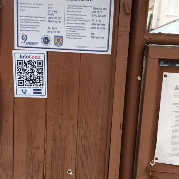 primăria comunei birsa, arad 2