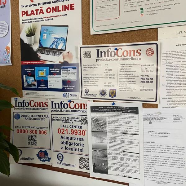 primăria comunei căpleni, satu mare