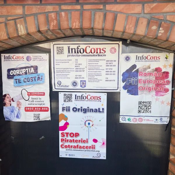 primăria comunei livezile, județul timiș 3