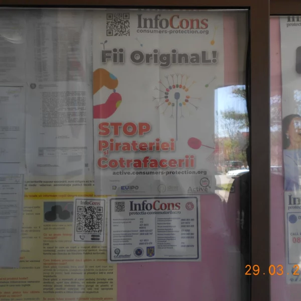 primăria comunei marginea, jud. suceava