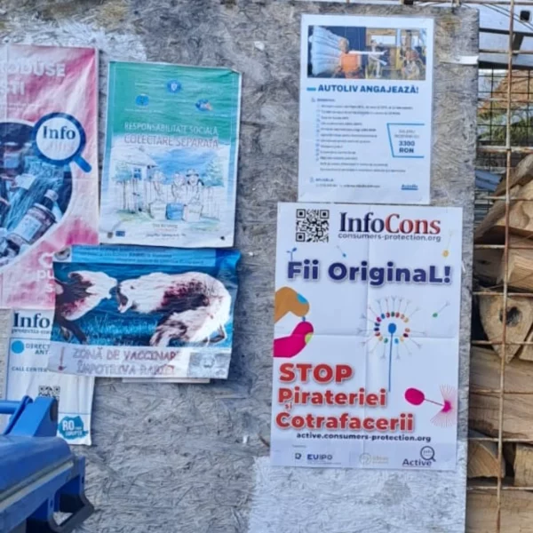 primăria ezeriș caras severin 3