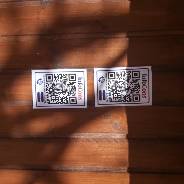 primăria foieni, satu mare 2