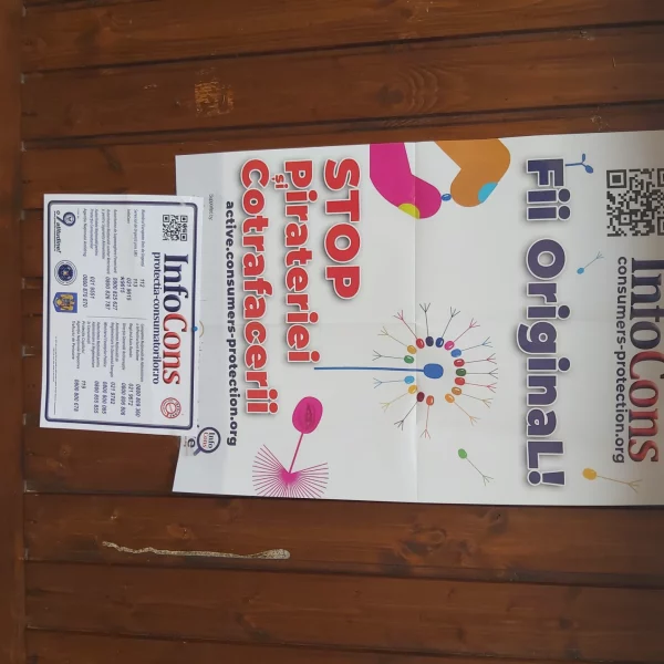 primăria foieni, satu mare