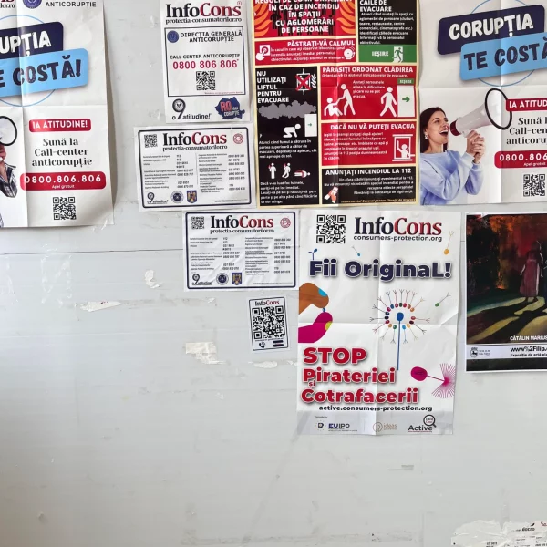 primăria municipiului râmnicu sărat 2