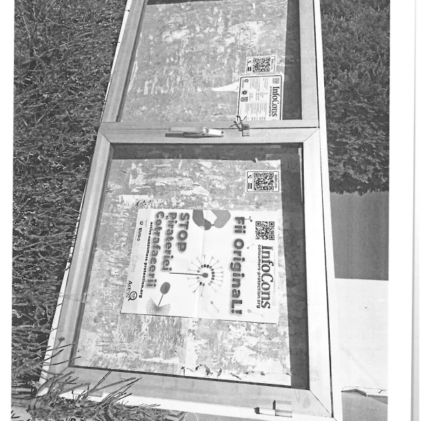 primăria orașului scornicești, olt page 2