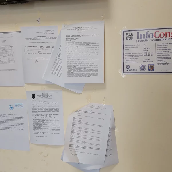 primăria remetea mare, județul timiș 2